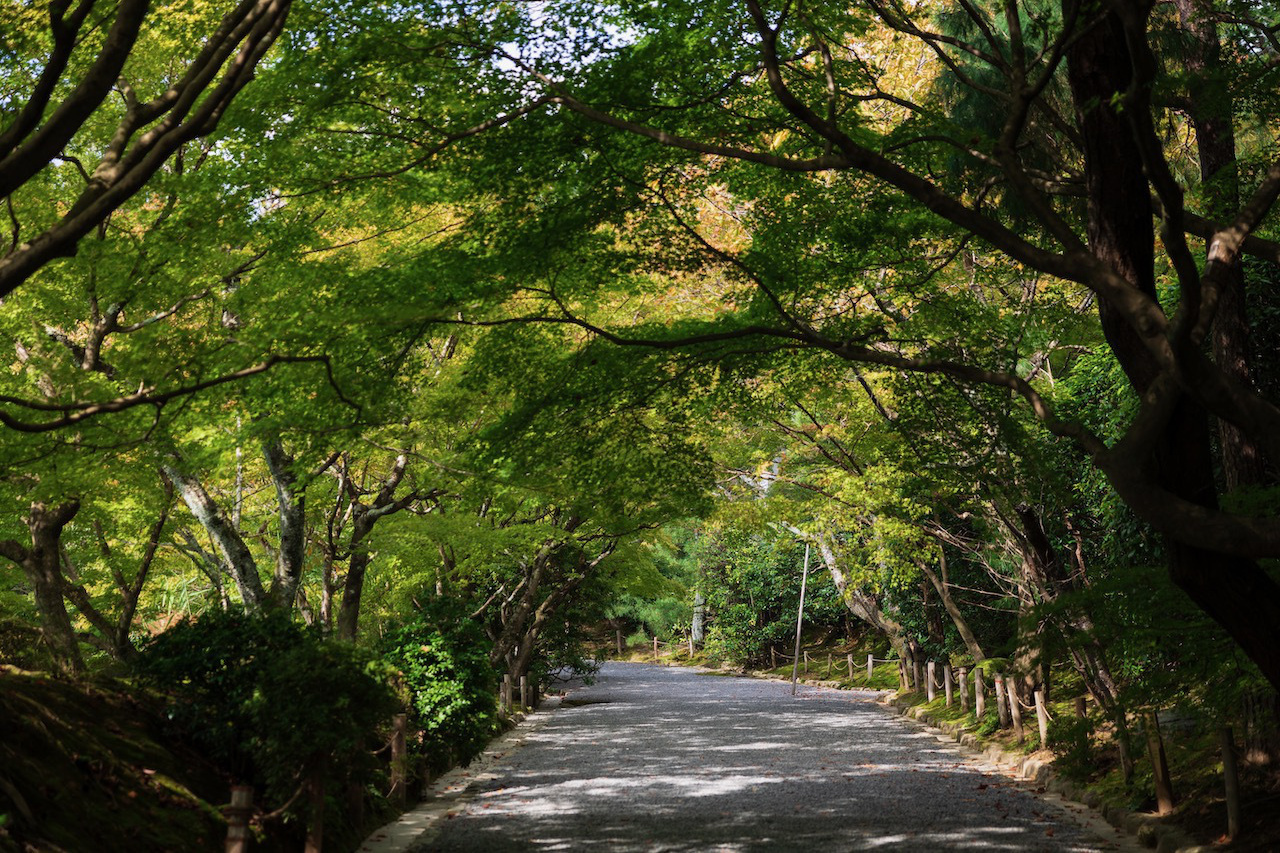 龍安寺