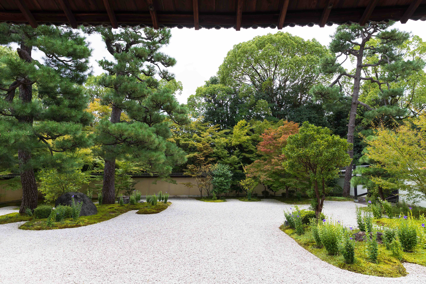 廬山寺