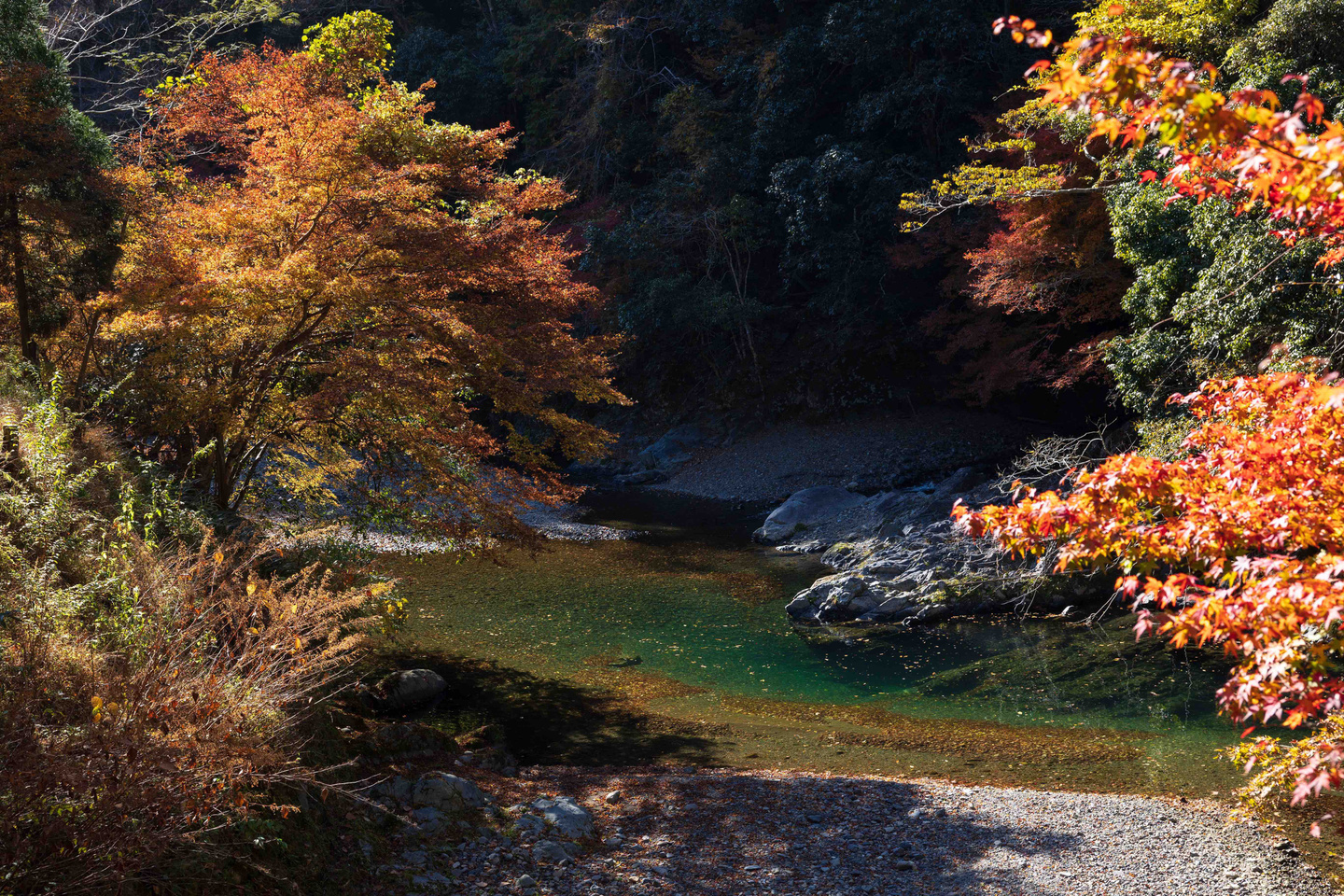 高山寺