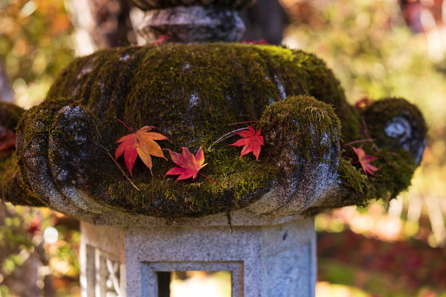 高山寺