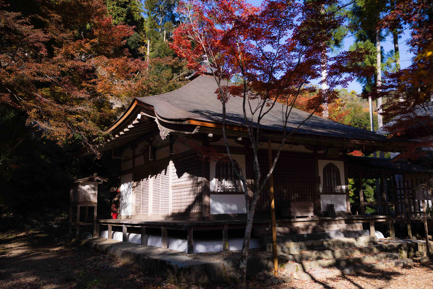 高山寺