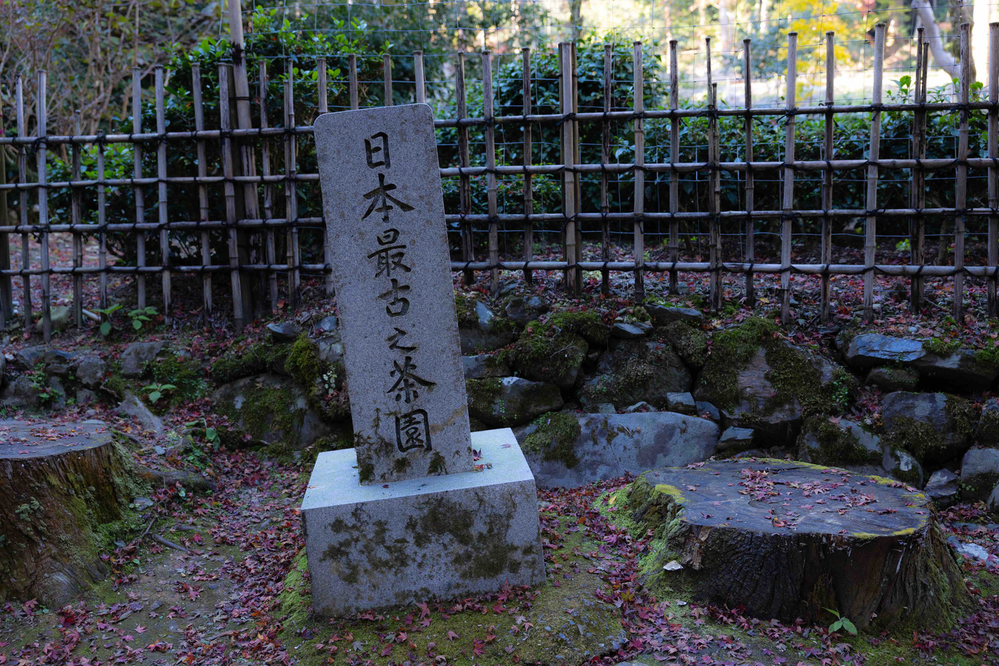 高山寺