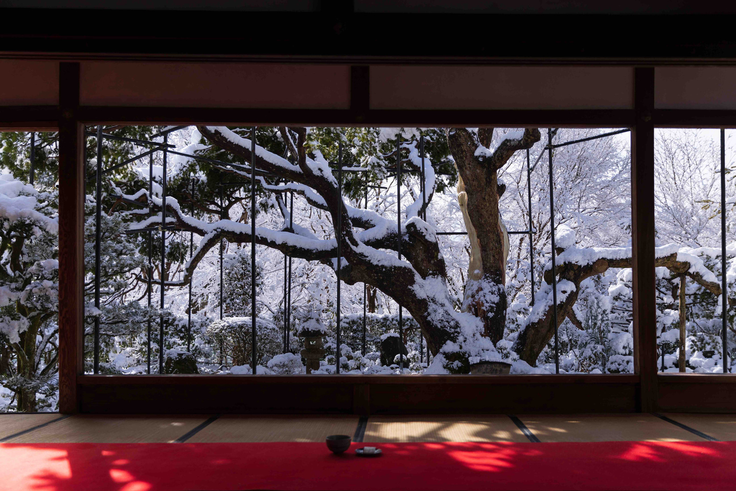 宝泉院