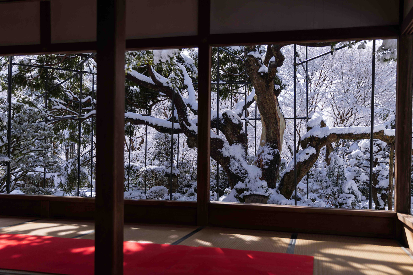 宝泉院