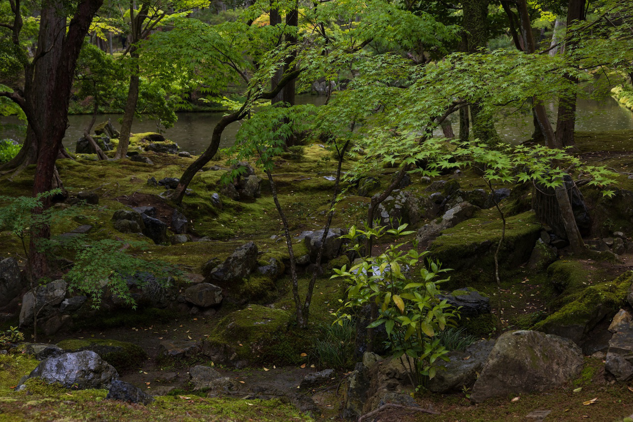 西芳寺