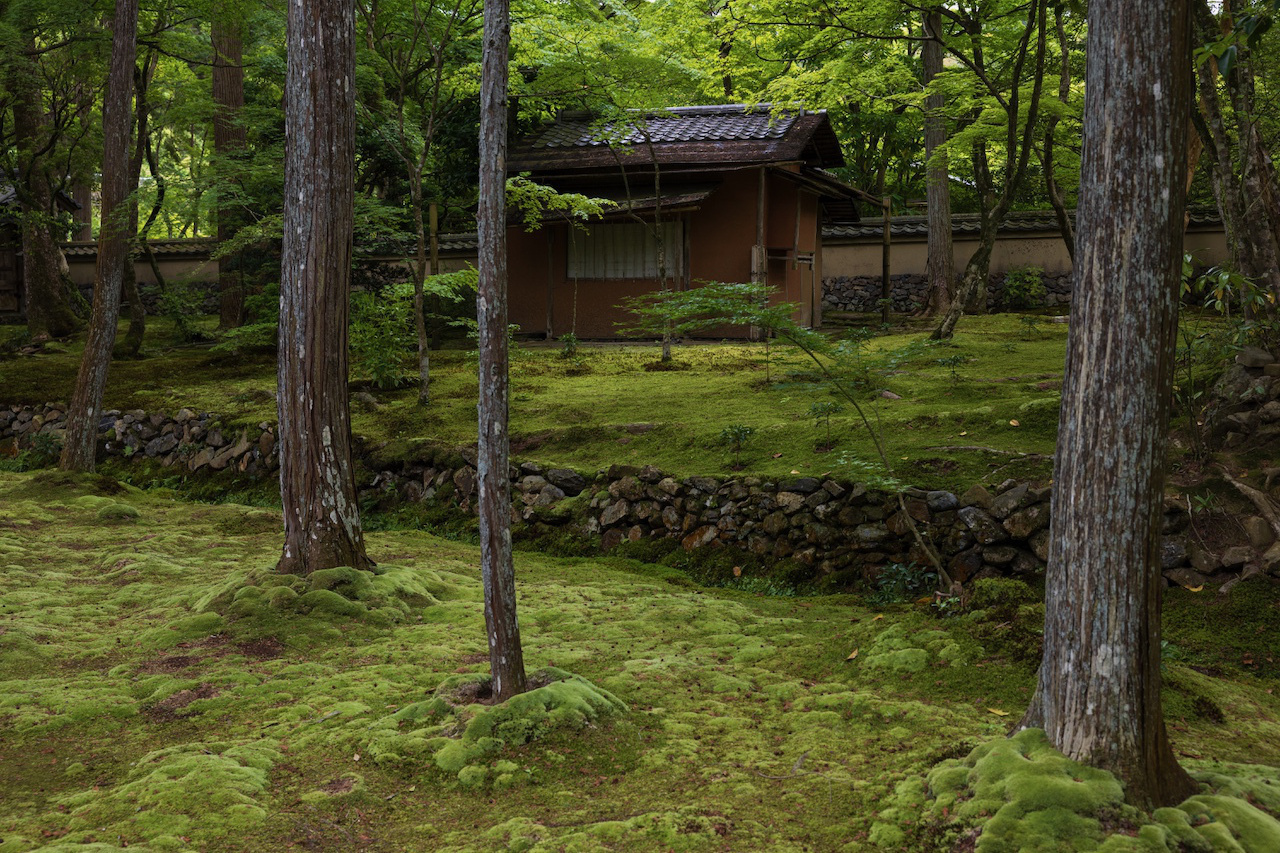 地蔵院