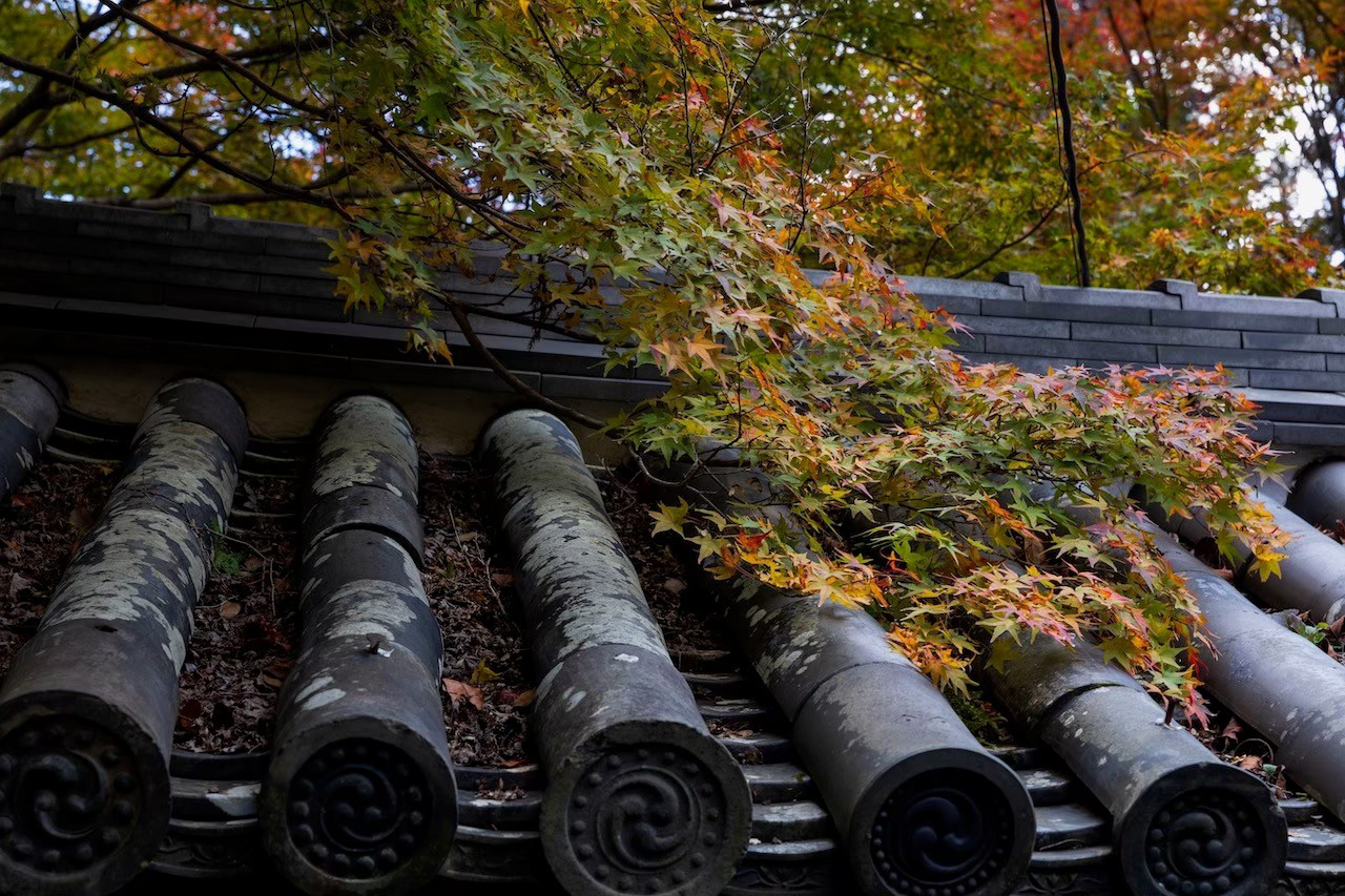 十輪寺