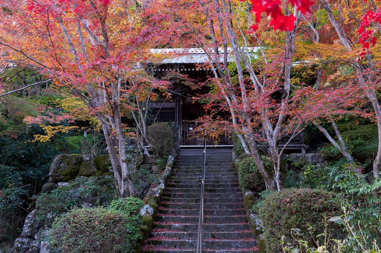 勝持寺