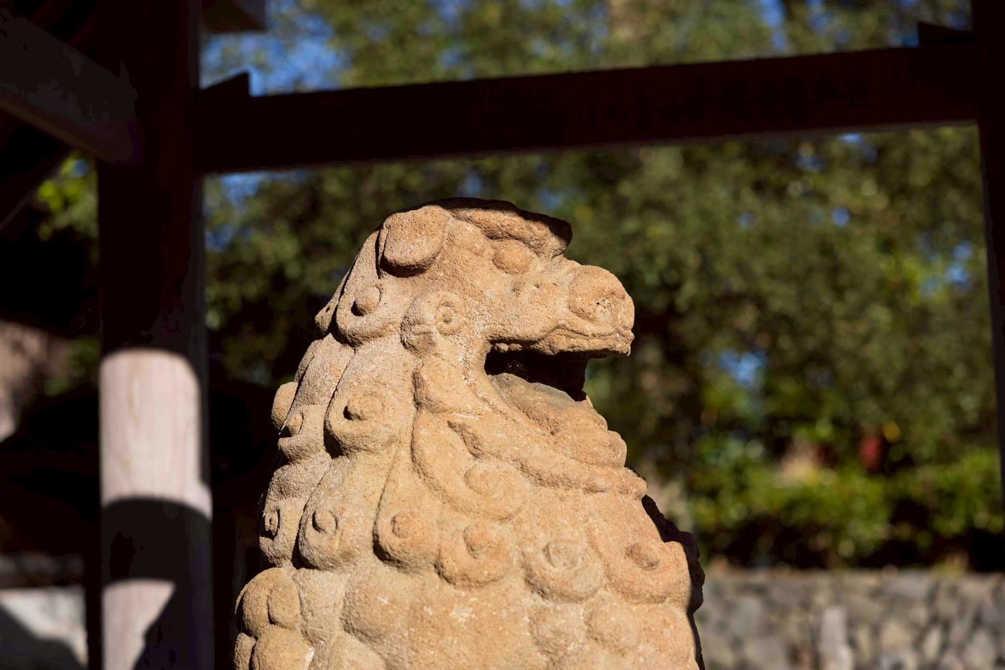 傘松公園