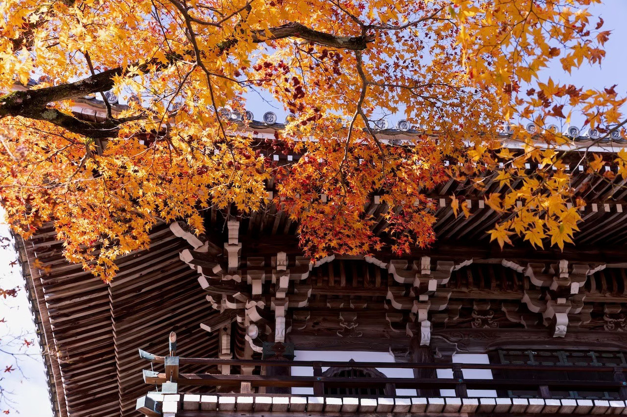 吉峯寺