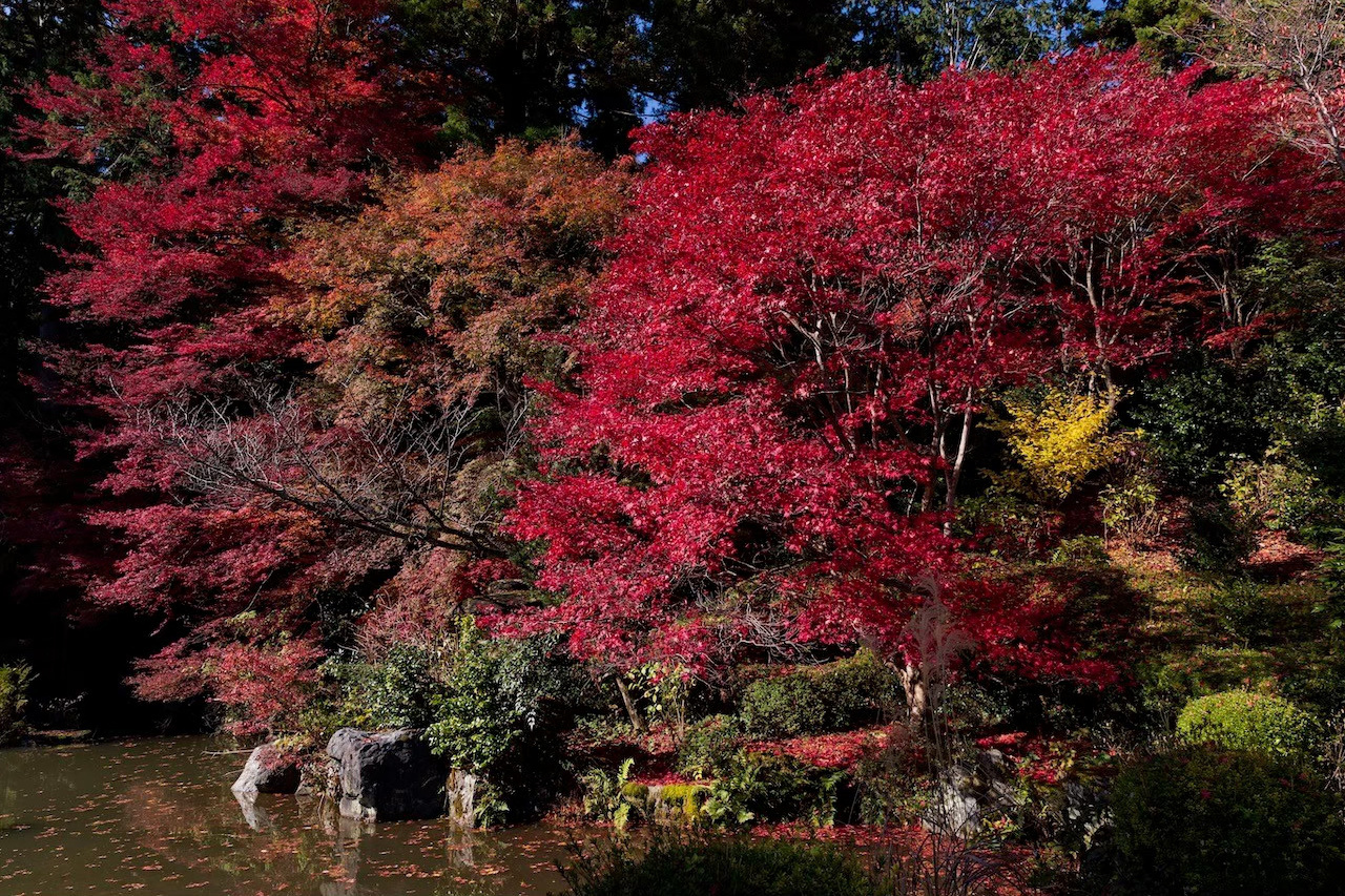 吉峯寺