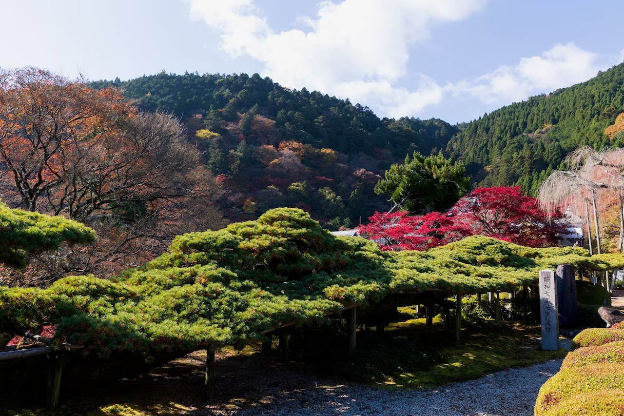 吉峯寺