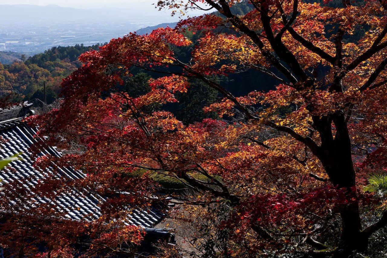 吉峯寺