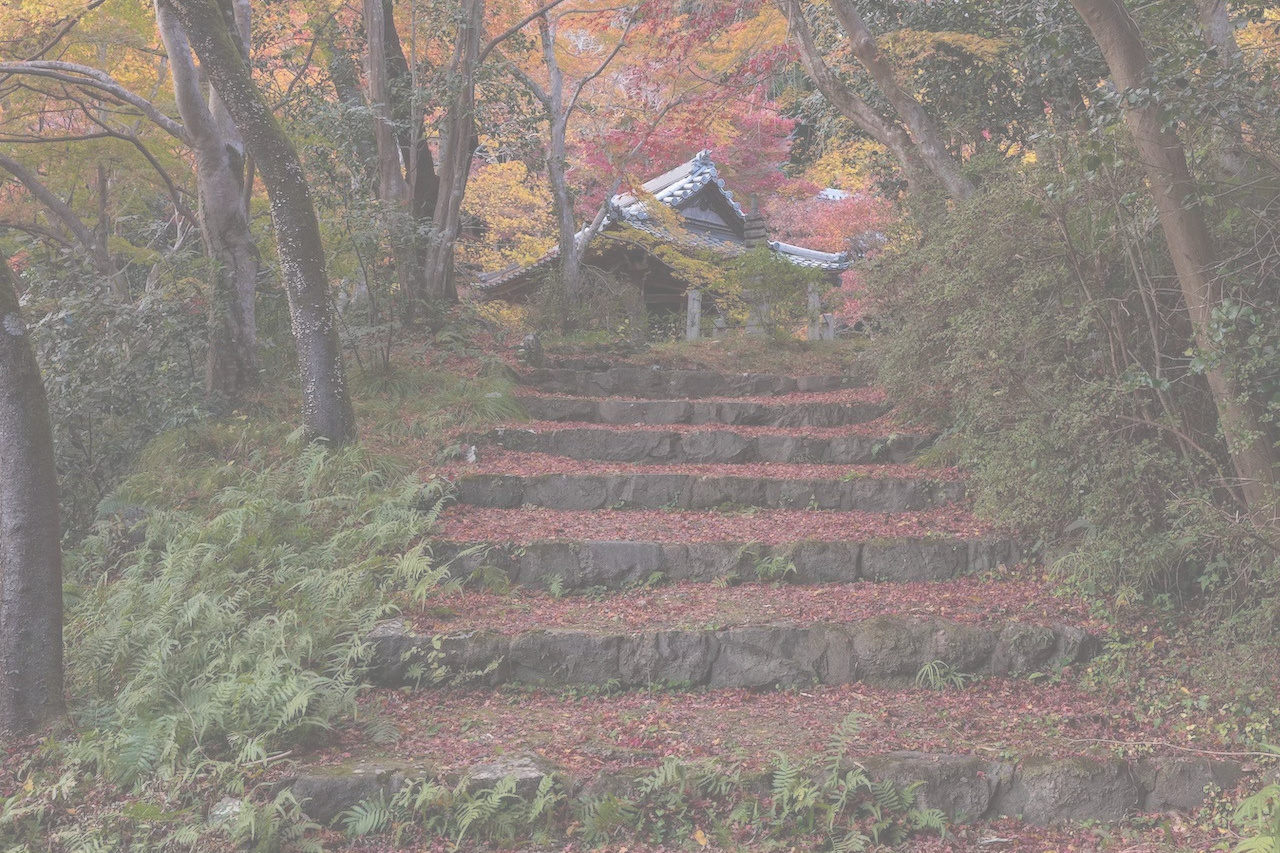 勝持寺