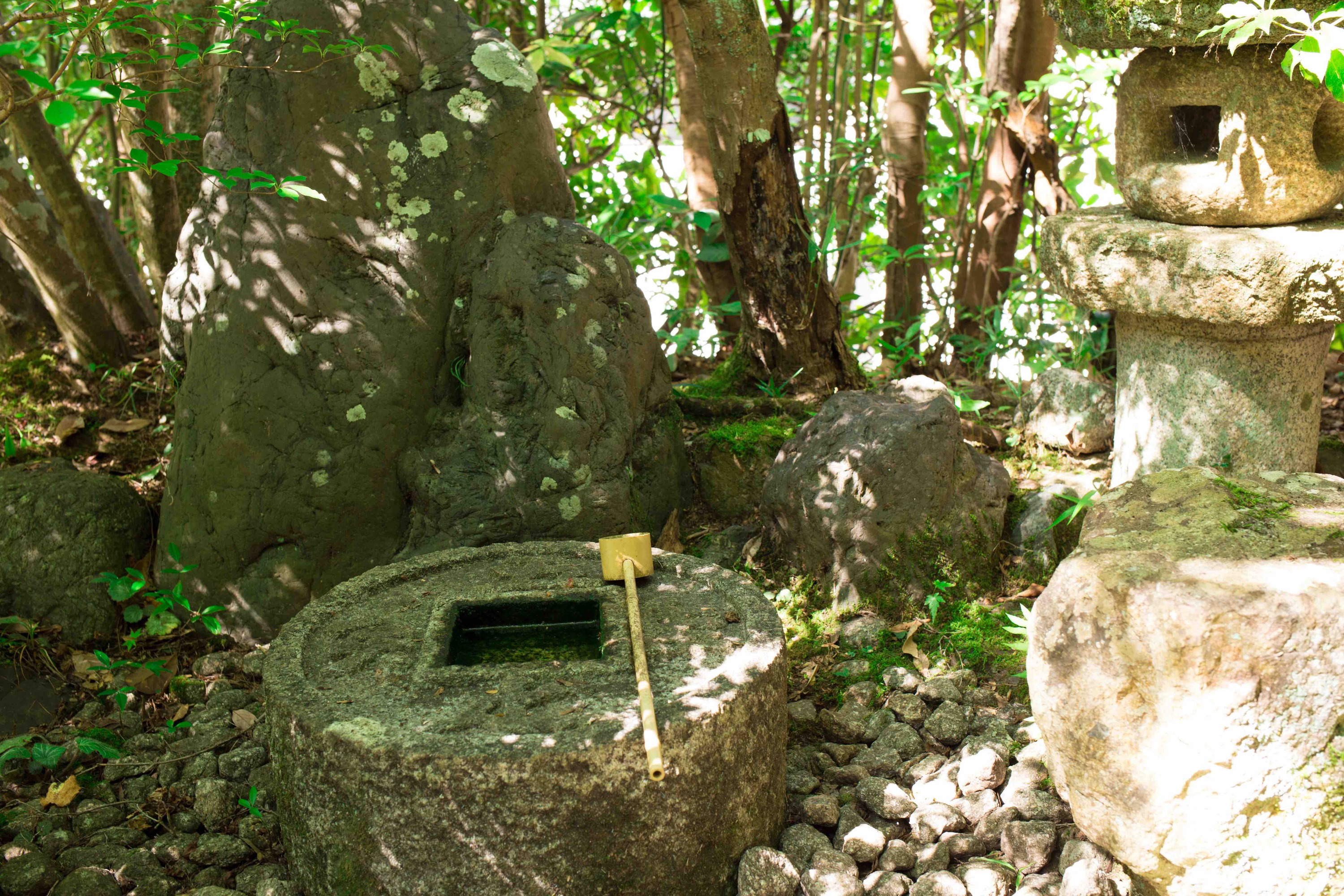 新緑に包まれる金福寺の「芭蕉庵」と書かれた門の横にある知足の蹲