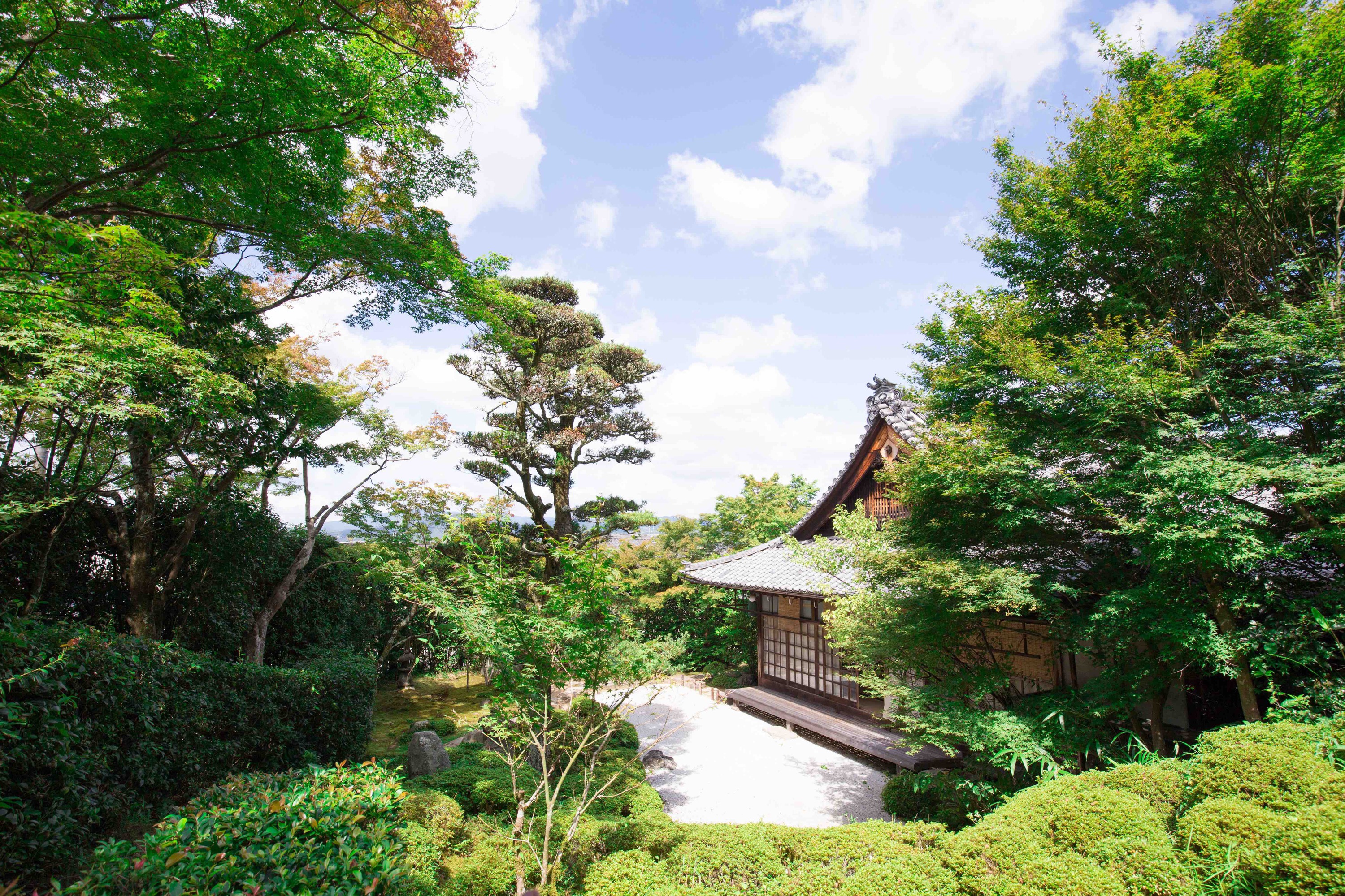 新緑に包まれる金福寺の本堂と庭園