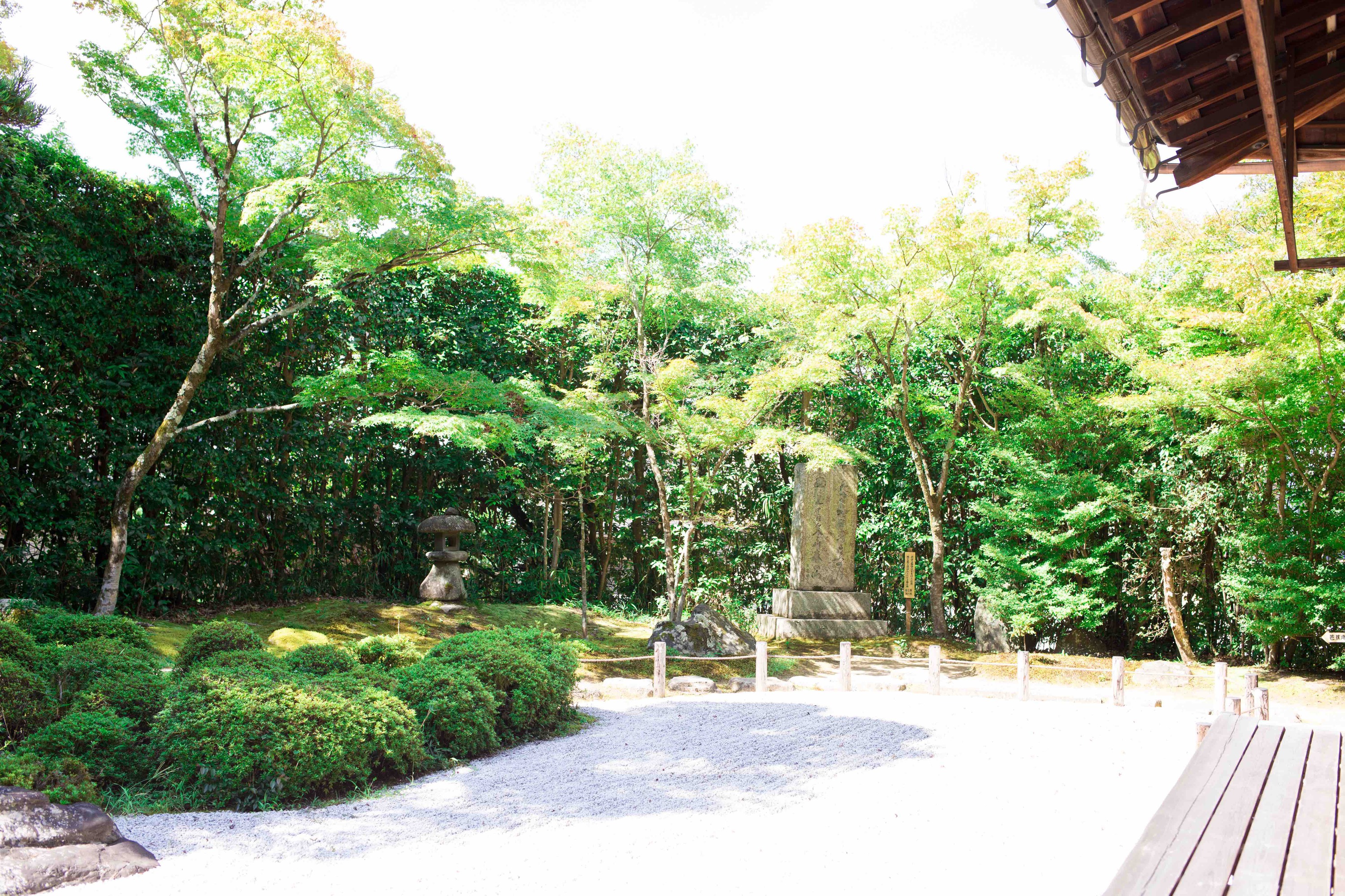 新緑に包まれる金福寺の本堂から庭園。皐月の築山と簡素な枯山水。