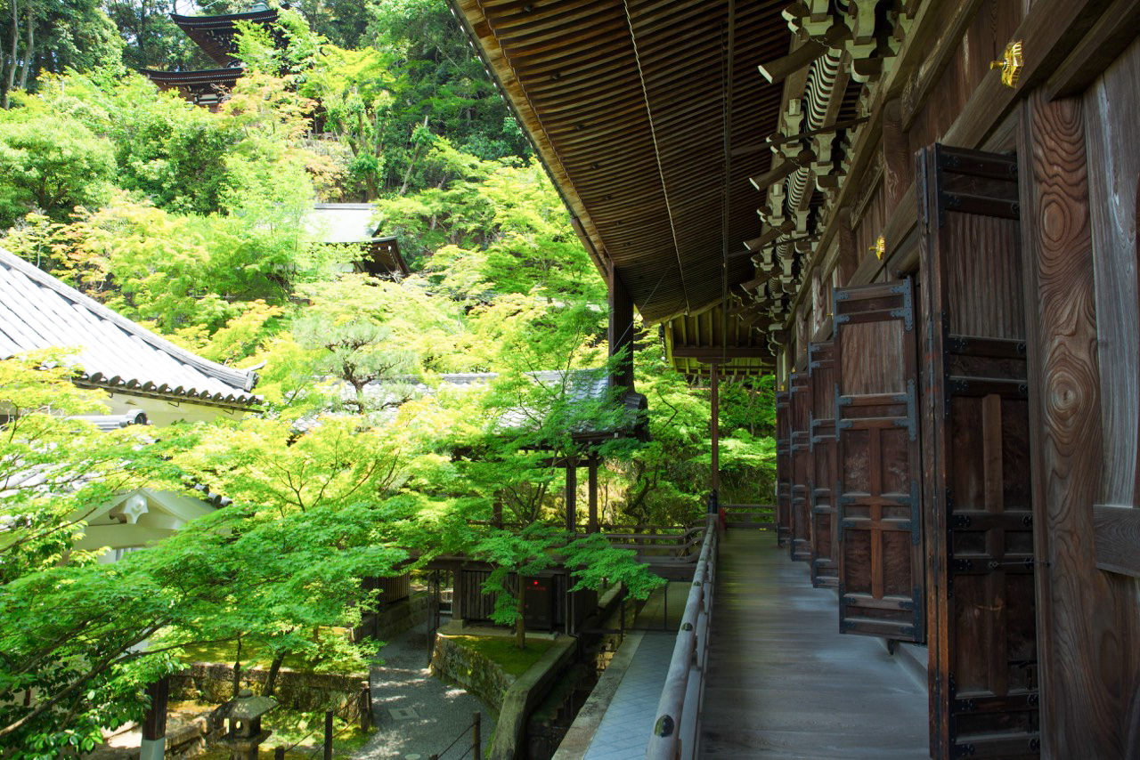 夢と知りせば|1−4 永観堂