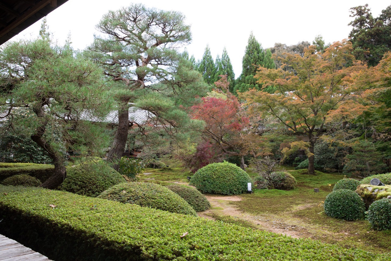 雲龍院