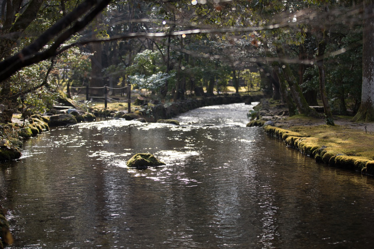 上賀茂神社・白馬奏覧神事