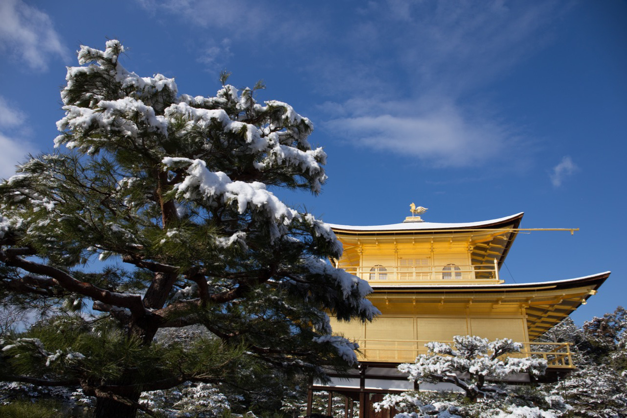 雪の金閣寺