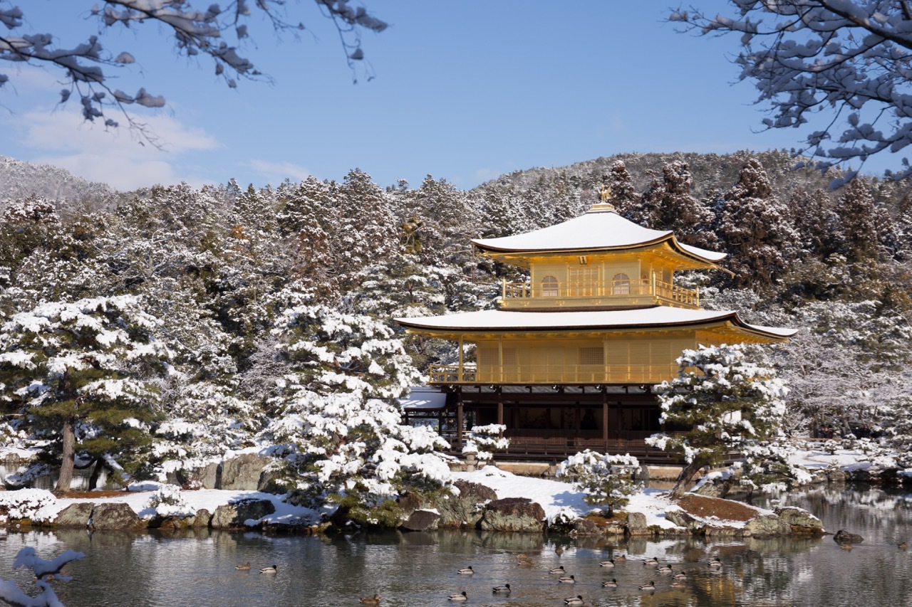 こんの観光情報 雪の金閣寺を見るためには こんの観光情報 雪の金閣寺を見るためには