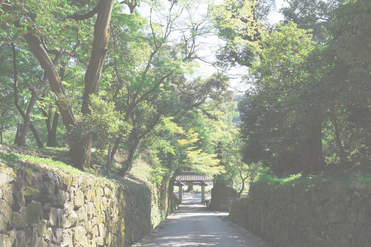 伏見稲荷の狐像